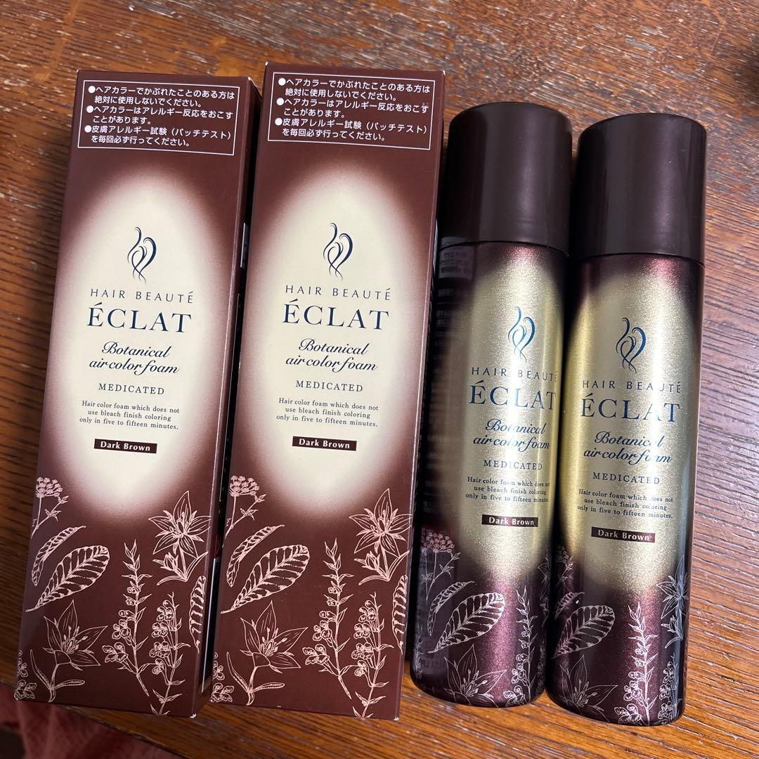 ヘアボーテエクラボタニカル　 エアカラーフォームEXダークブラウン2本(4本)