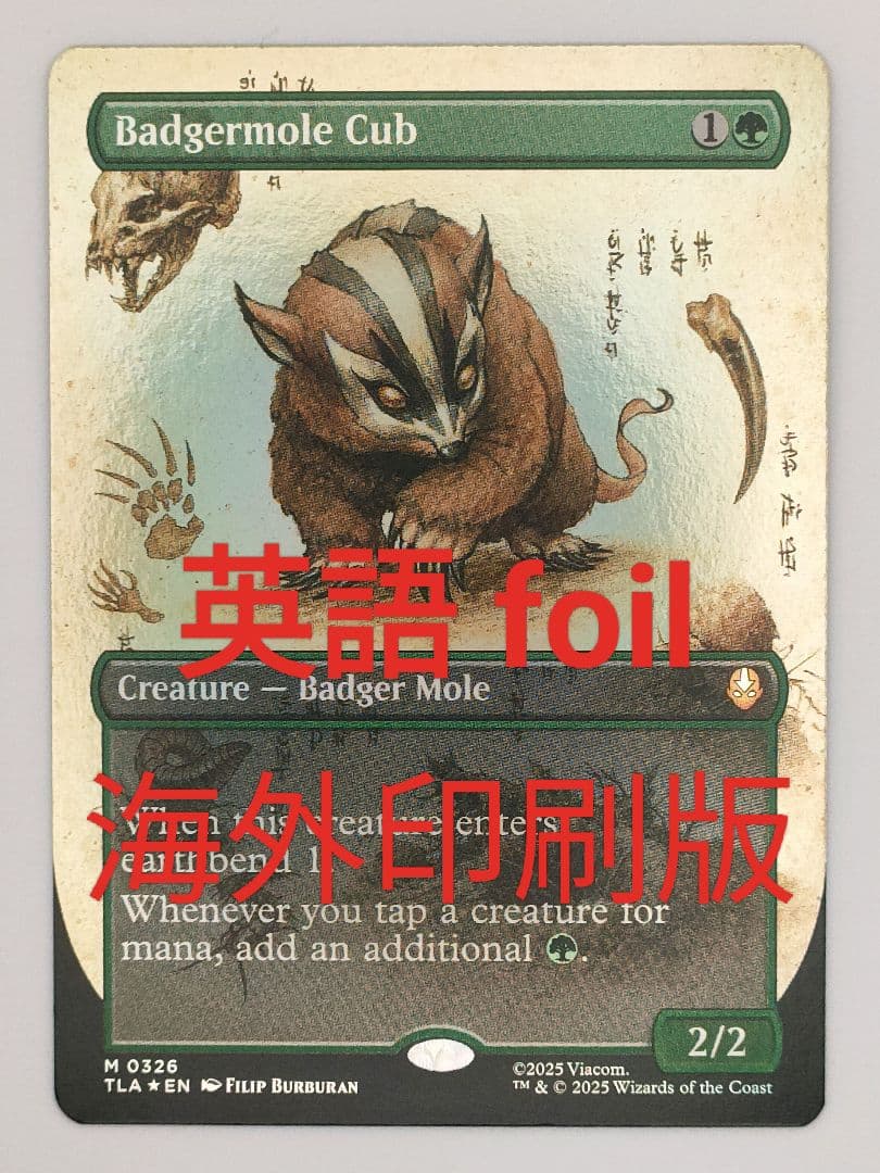 アナグマモグラの仔　foil 英語　ボーダーレス　badgermole cub アナグマモグラの仔/Badgermole Cub《英語》【TLA】