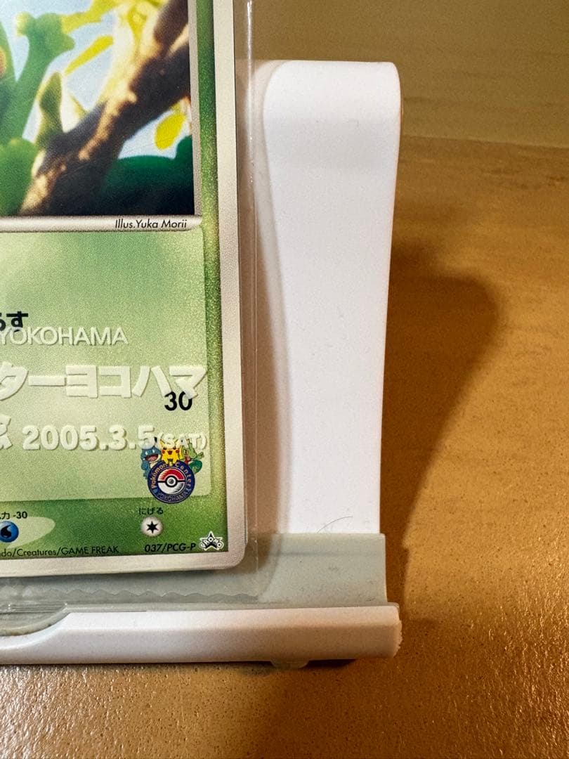 ポケモンカード キモリ ポケモンセンターヨコハマプロモカード 037/PCG
