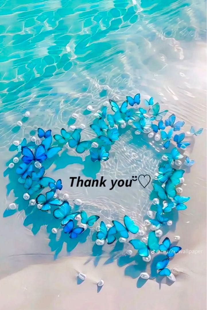 ❤️ アカネコ様❤️