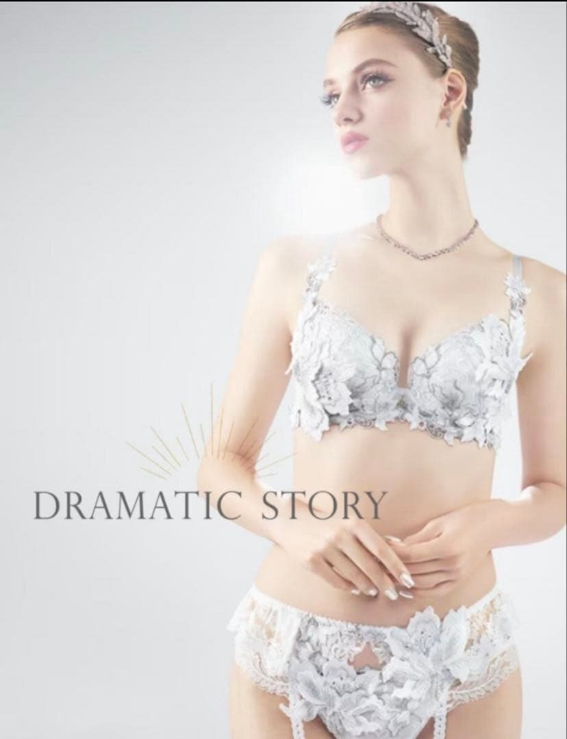 Salute 04G Rich Veil Bra 3/4カップブラ ショーツ