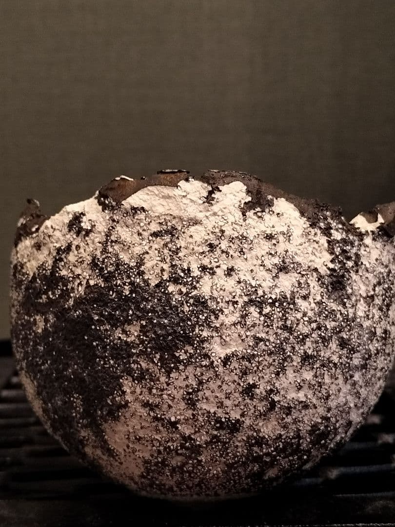 新品 たけろうポット 検) パキプス 芽の巣山 Tacson カタフ ホリダス