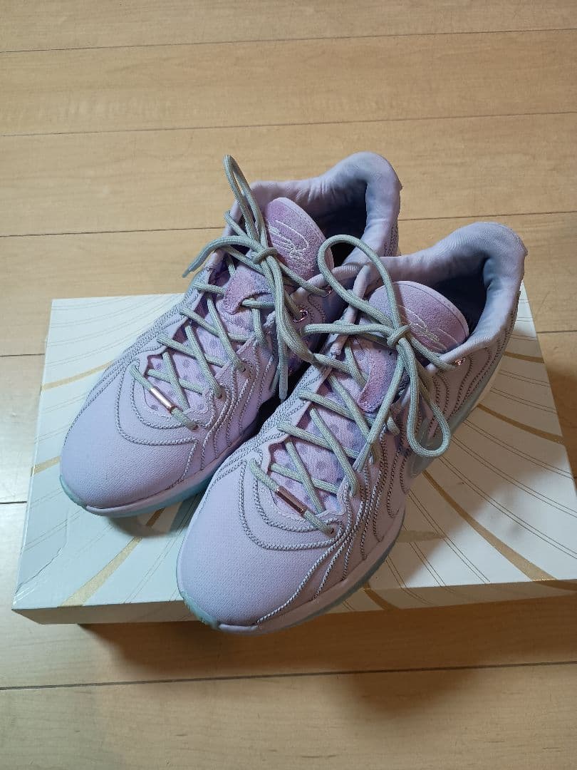 レブロン21 28cm グローバルラスト Nike LeBron 21 EP ナイキ レブロン21 FQ4146-400 | バスケットボール