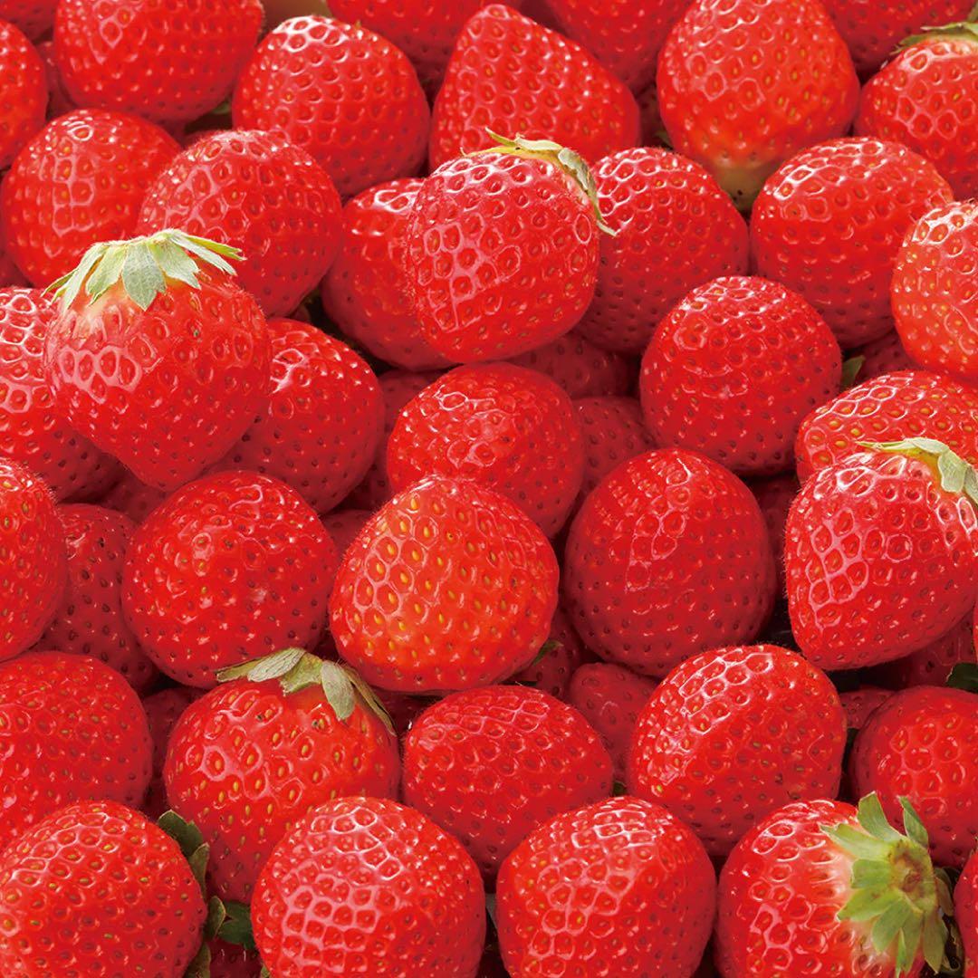 中1 第3回　専用