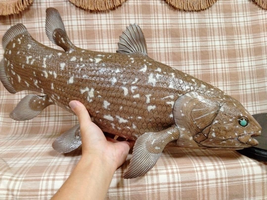 ハンドメイド　61cmシーラカンス　茶　フィギュア　レプリカ　オブジェ　化石魚