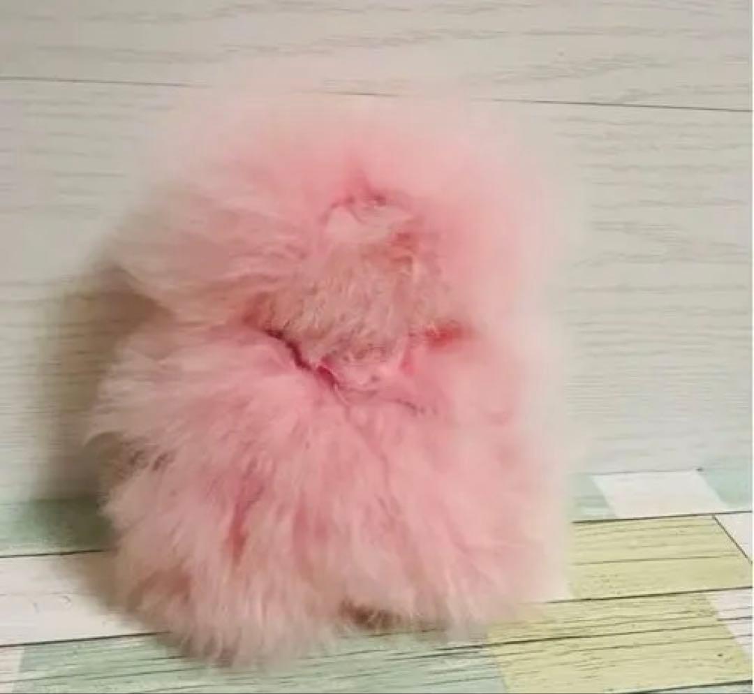 ベビーアルパカ専門店fuwari】ぬいぐるみ（くま）【サーモンピンク