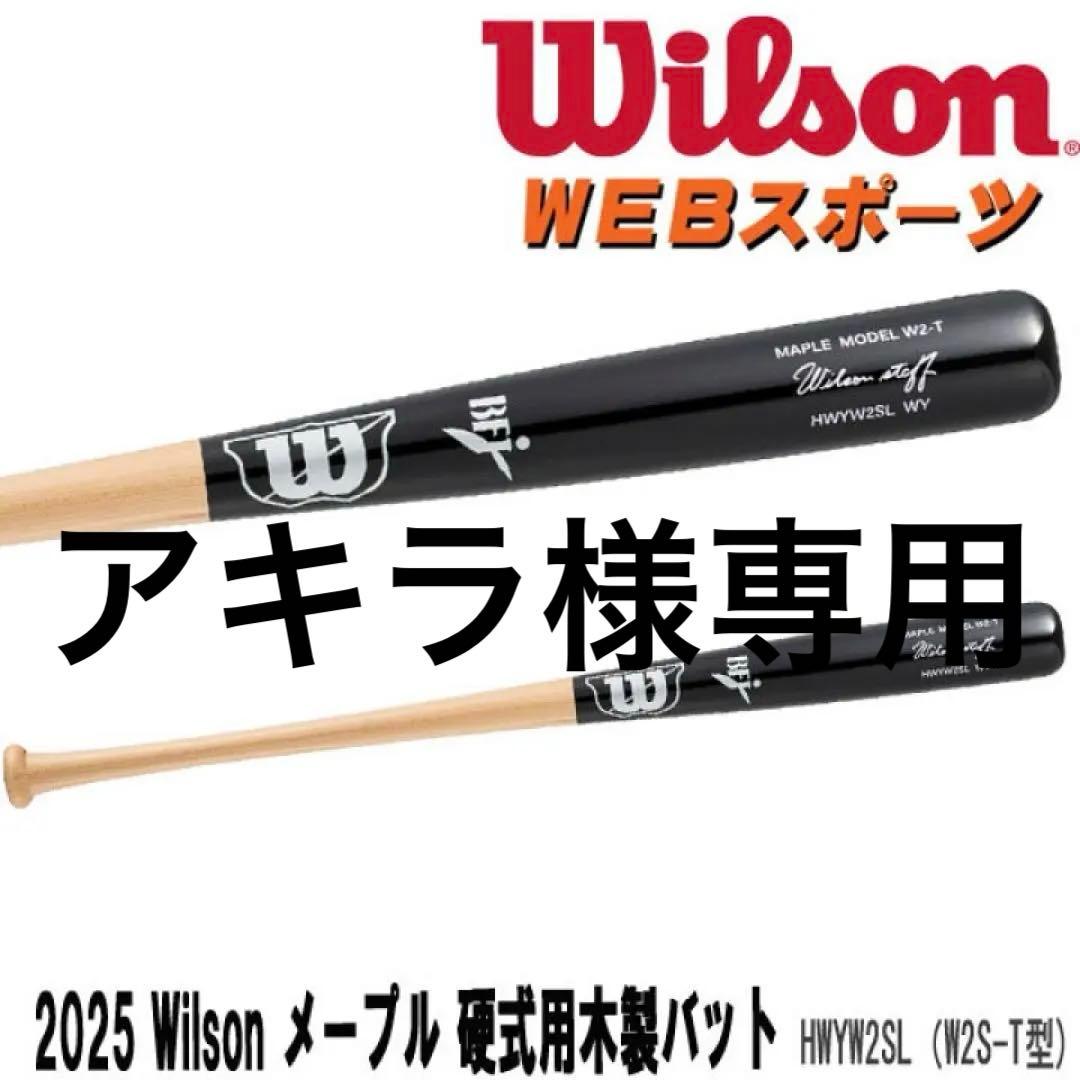 アキラ アキラのZ (プラモデル) - ホビーサーチ カーモデル
