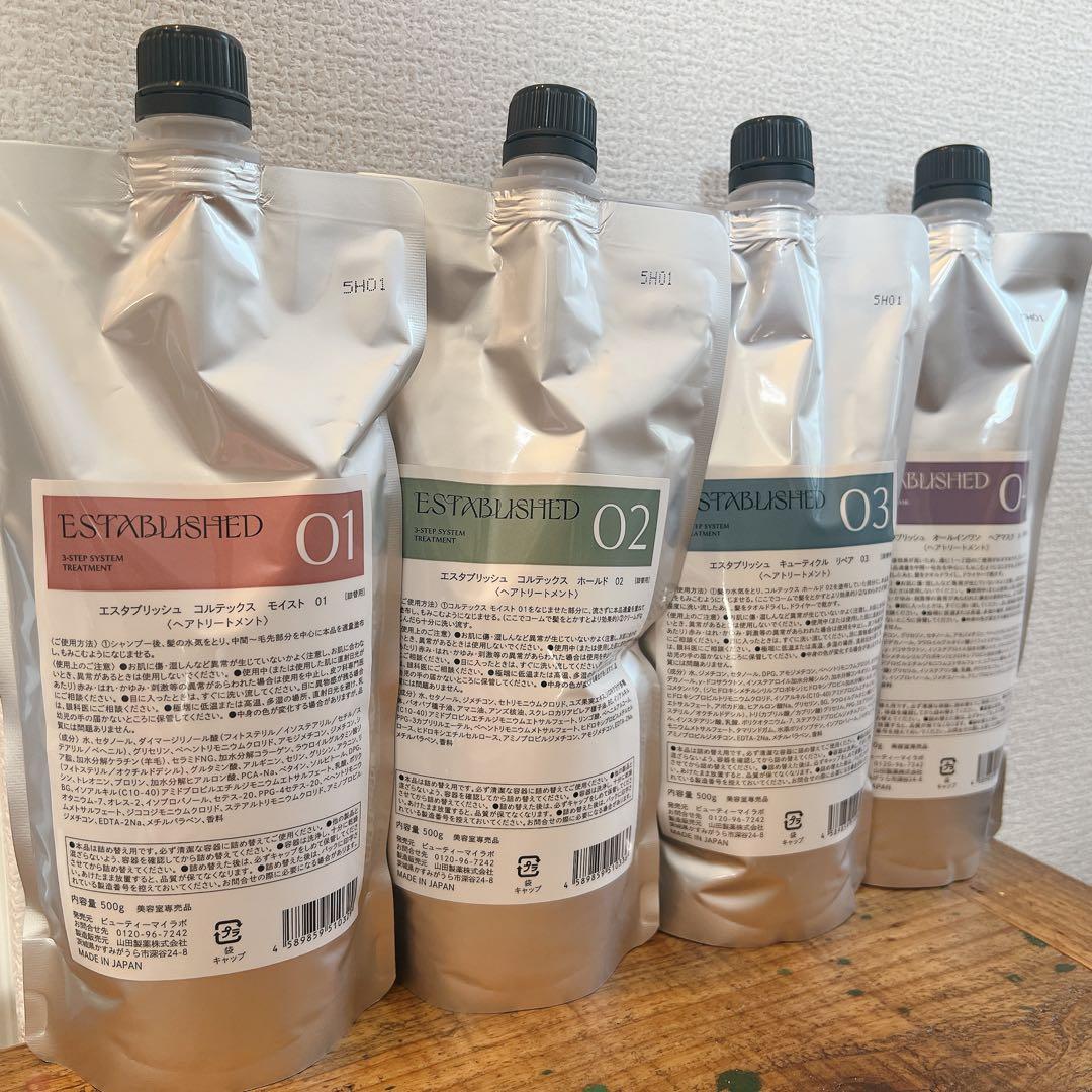 エスタブリッシュ　システムトリートメント　業務用　ホームケア　ヘアパック　新品