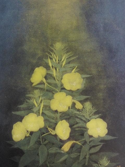 吉沢照子、【月花】、希少な額装用画集より、新品額装付、状態良好