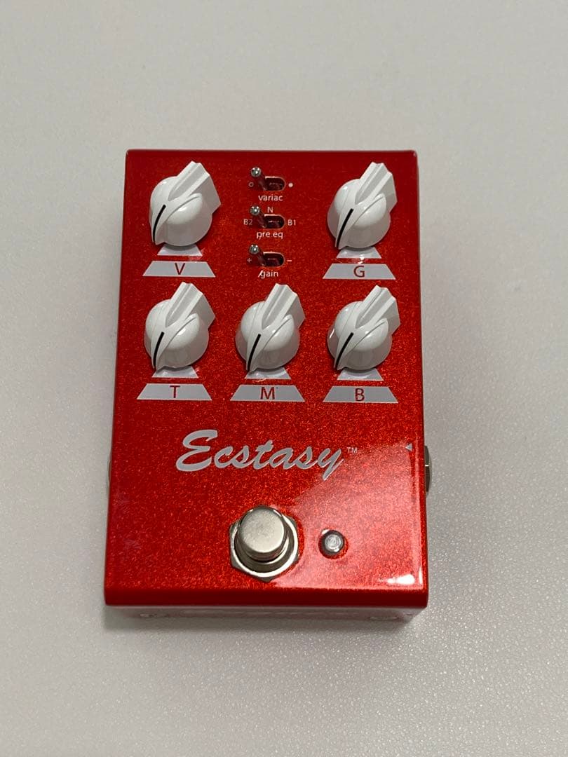 【あくあ】Bogner Ecstasy mini