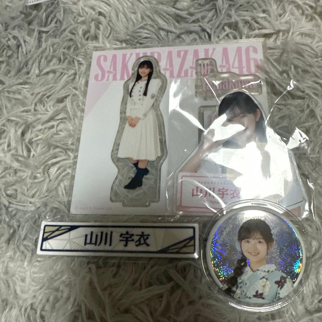 最終値下げ 櫻坂46 山川宇衣 グッズ まとめ売り - メルカリ