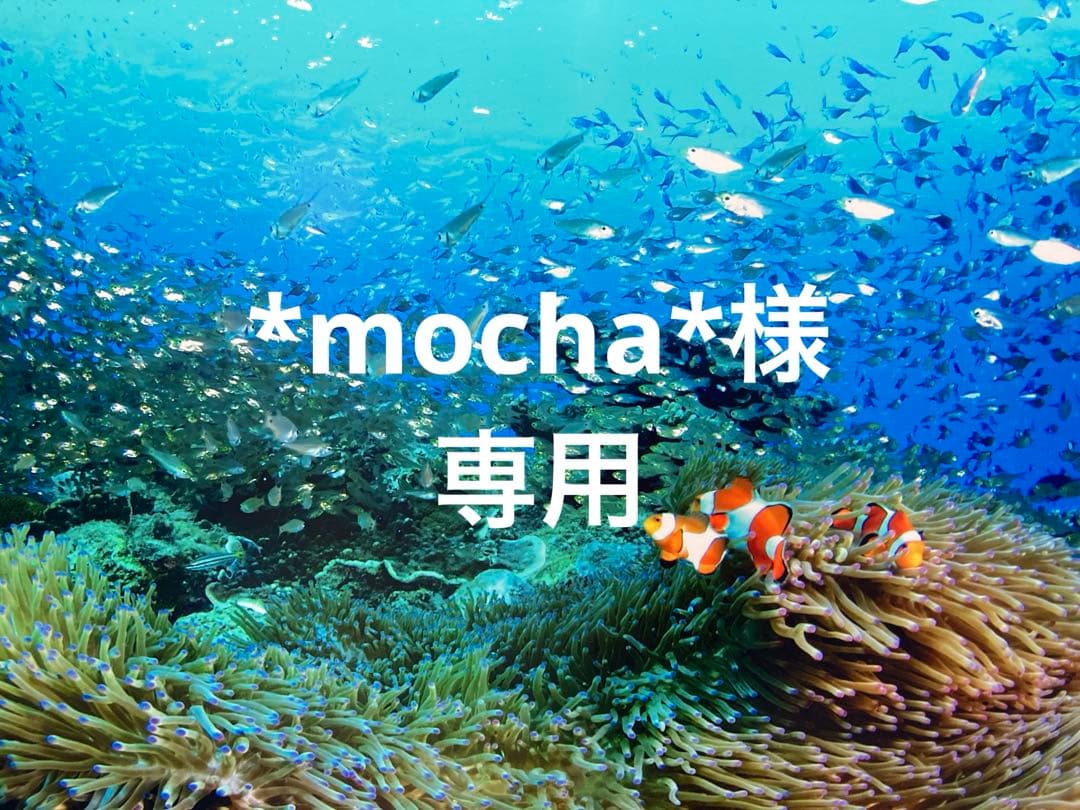 エンビロンCクエンスセラム4 プラス　ラドシールドミネラルさんさスクリーン