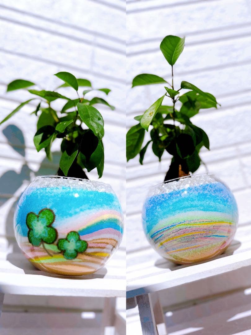 オーダー専用ページ