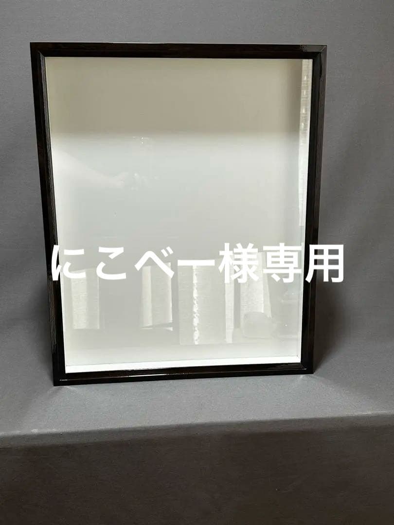 志賀昆虫　ドイツ箱 志賀昆虫 特製ドイツ型標本箱 大型 178853 1個（直送品） - アスクル