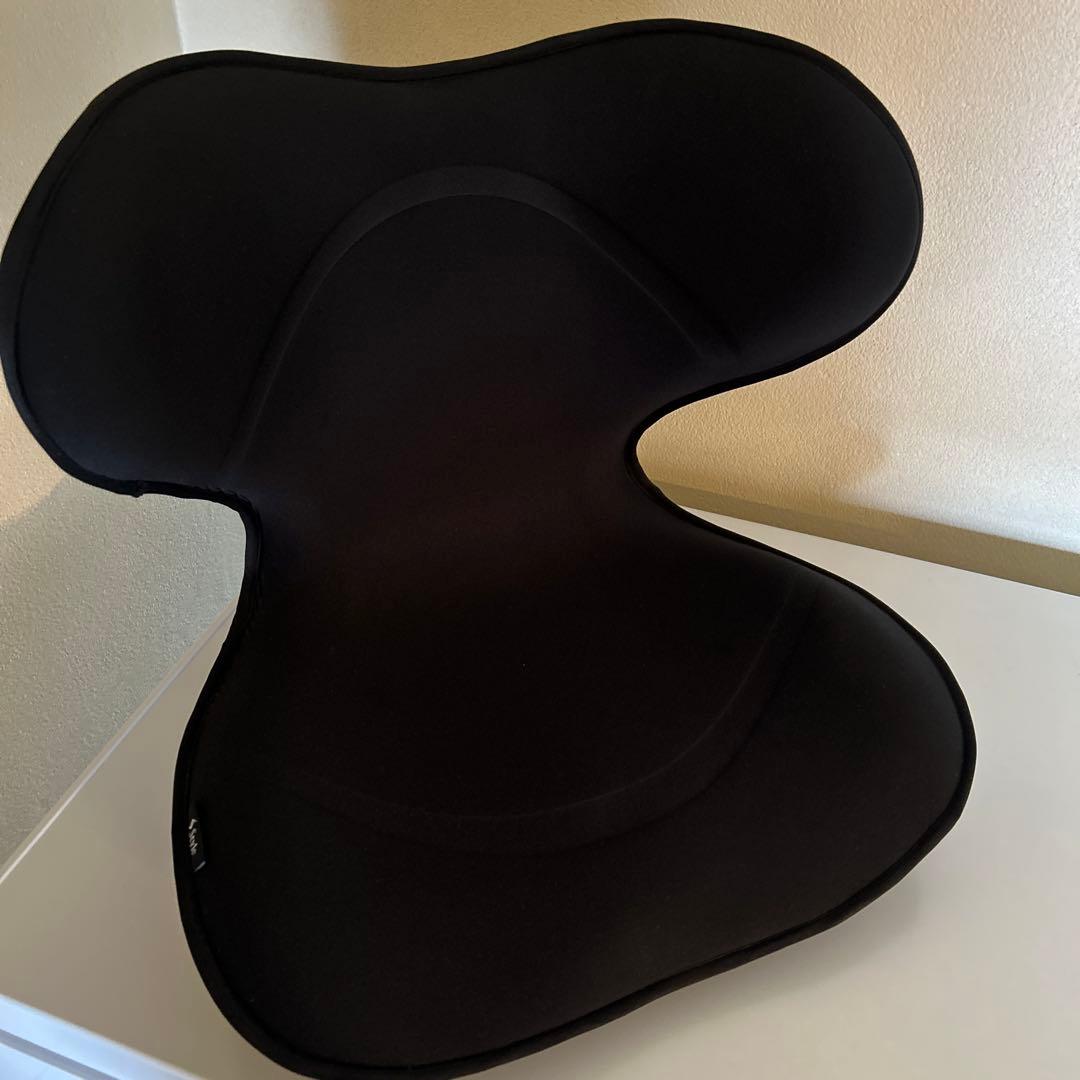 Style SMART スタイルスマート ブラック YS-AK03A