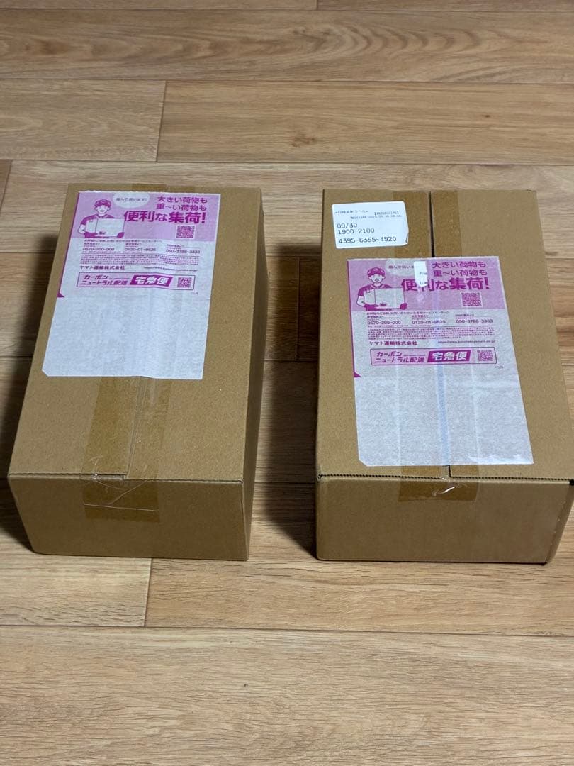 ポケモンセンター　フクオカ、ヒロシマ　未開封 2個セット