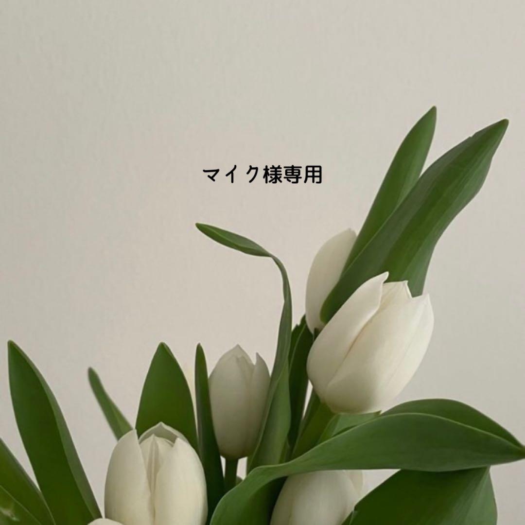 マイク スピケア V3 Cクレンザー Cエマルジョン 新品 SPICARE-スピケア-】V3 Vスピック C クレンザー | 業務用美容・エステ