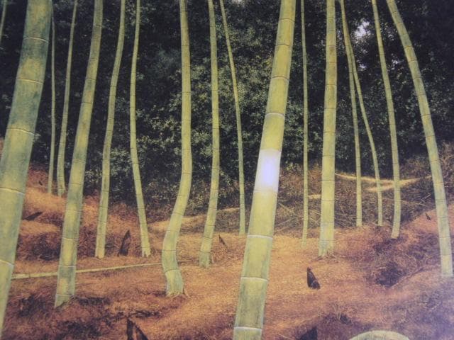 風分六抄、竹姫、希少な画集より、新品高級額、額装付、状態良好