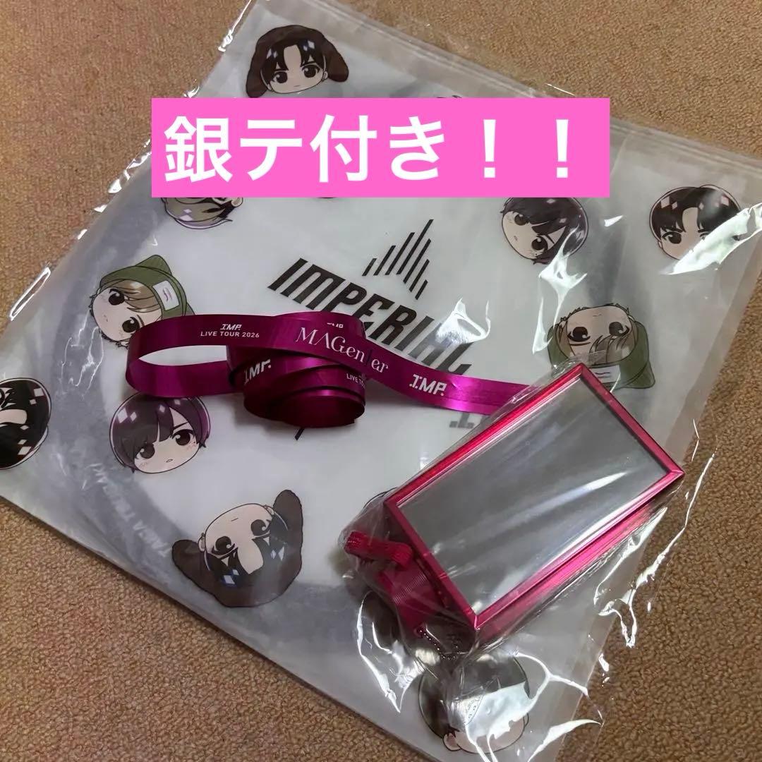 IMP. うちわケース ペンライトトップ 銀テ付き