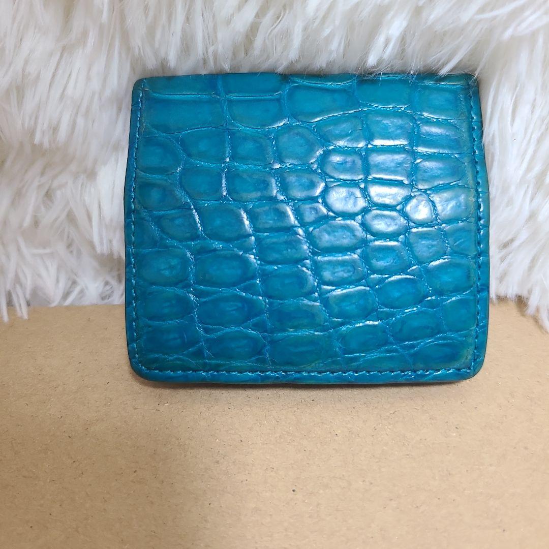 池田工芸　クロコダイル　ワニ革　ケース　稀少カラー