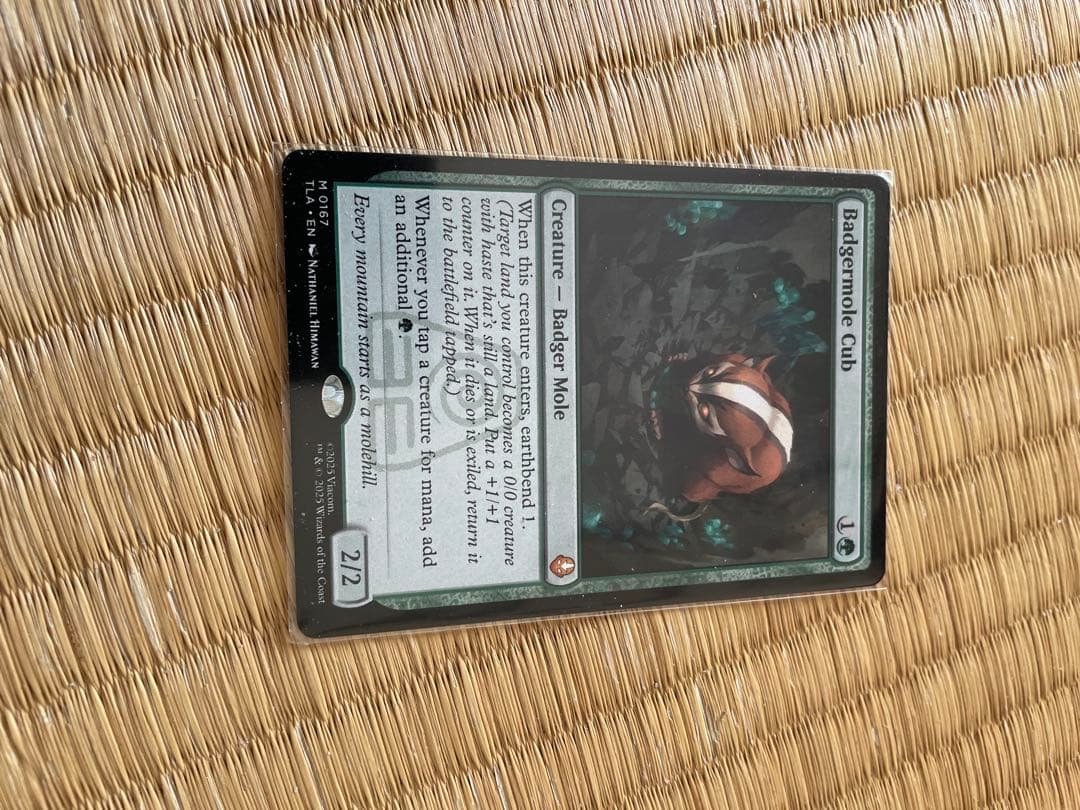 【MTG アナグマモグラの仔/Badgermole Cub 通常 英語1枚】 アナグマモグラの仔/Badgermole Cub (全面アート版) 【英語版】 [TLA