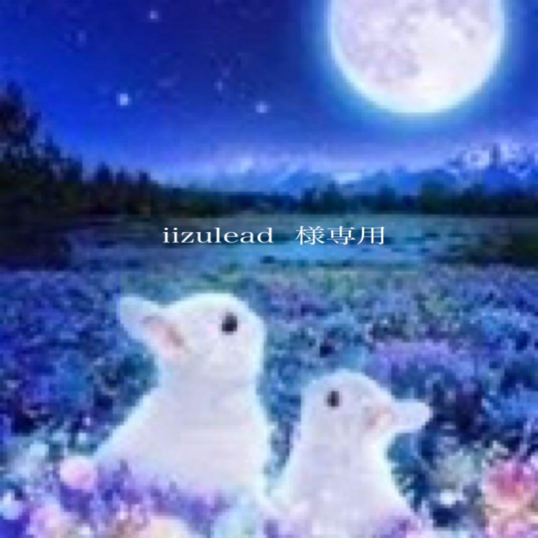 アロマ・キャンドル iizulead