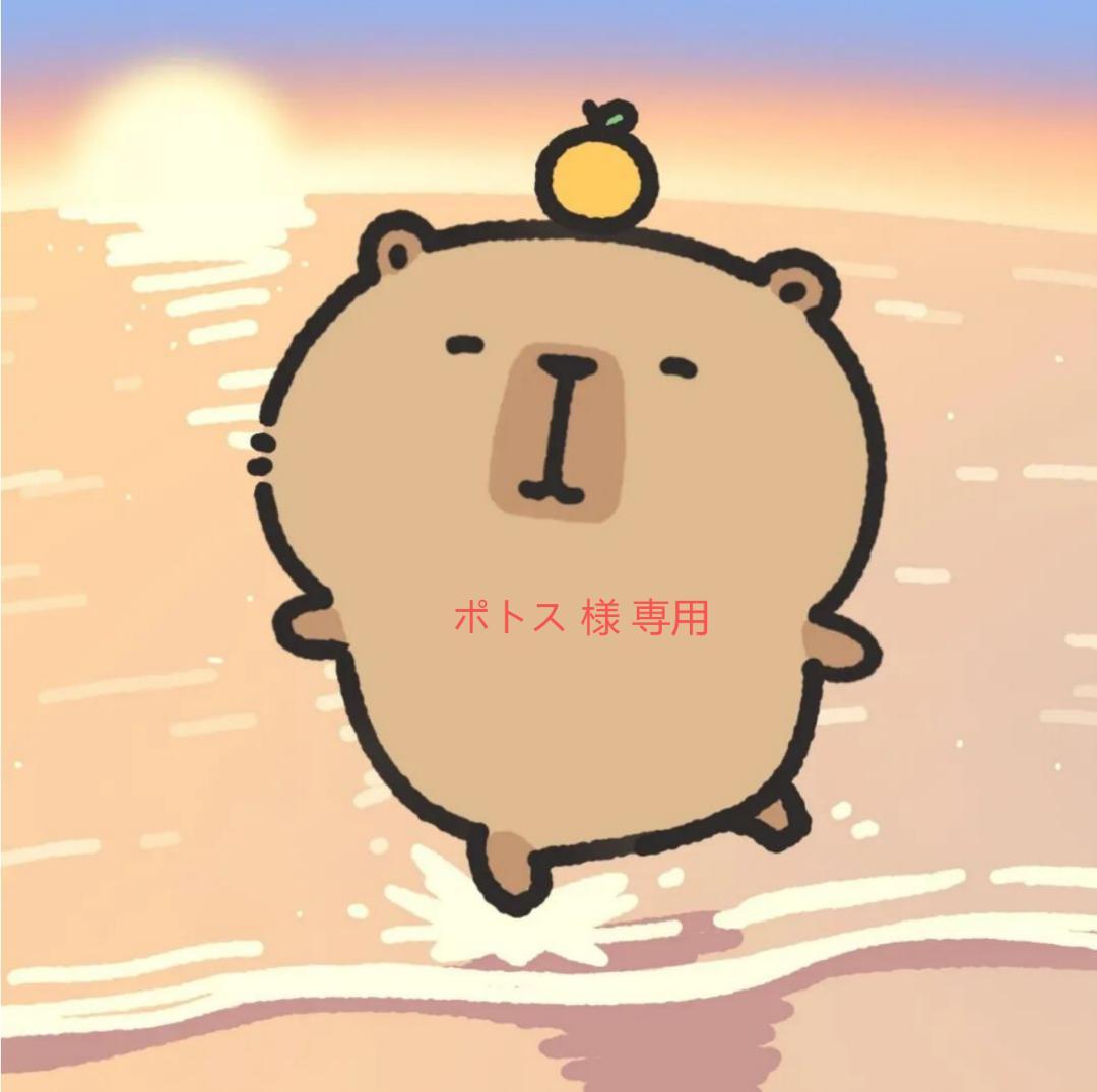 ポトス  観葉植物 ポトス M 7号鉢 植物 7号 インテリア 室内 リビング 屋外