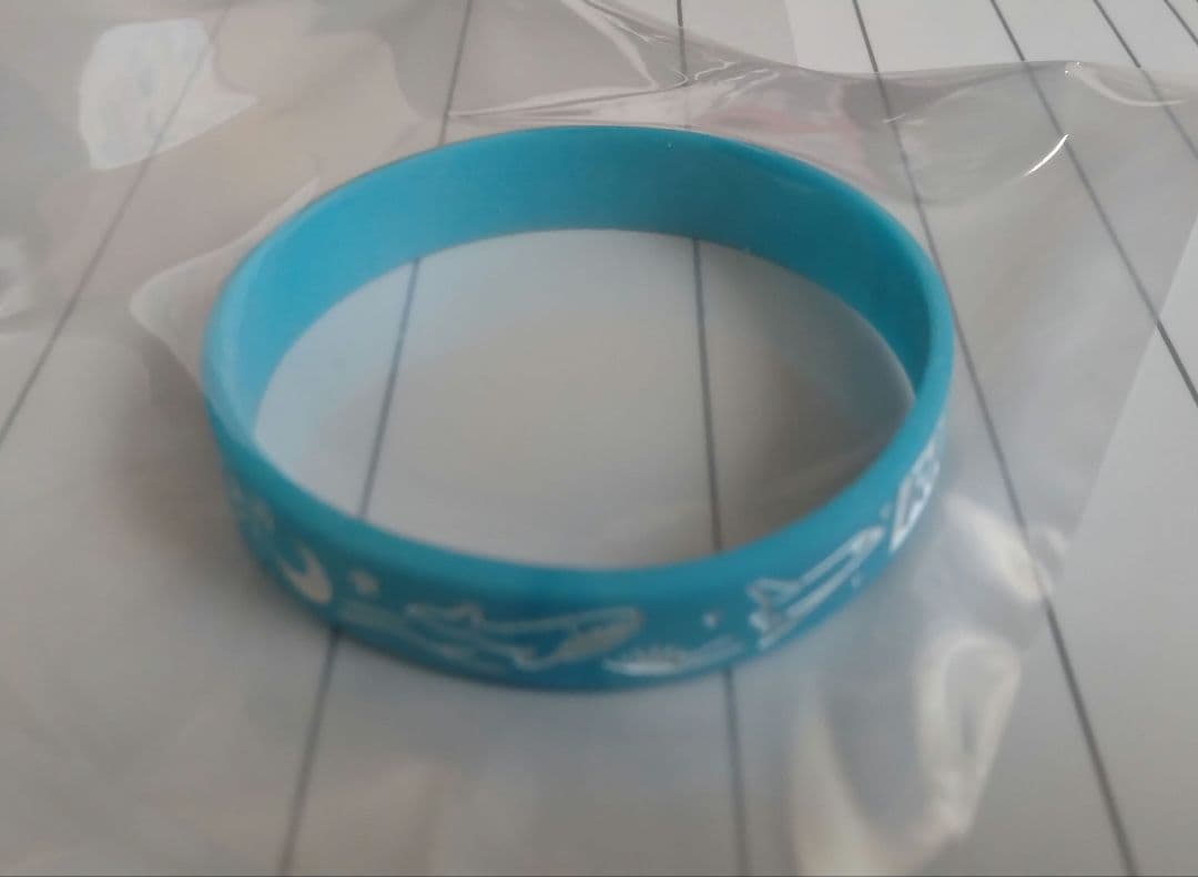 バンド　RIRIKO（NELKE）