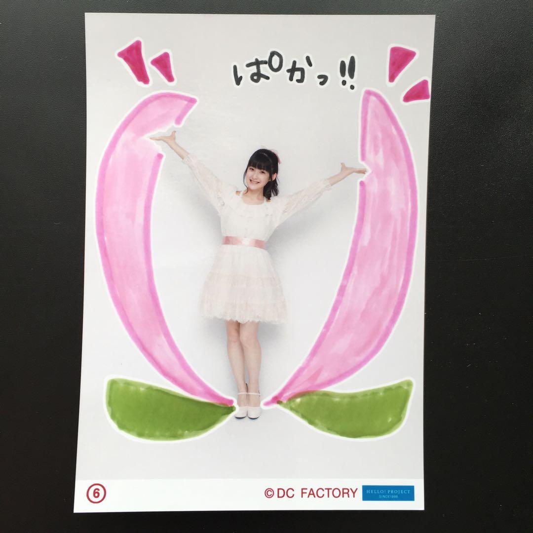 6357 Berryz工房 嗣永桃子 生写真 19枚セット