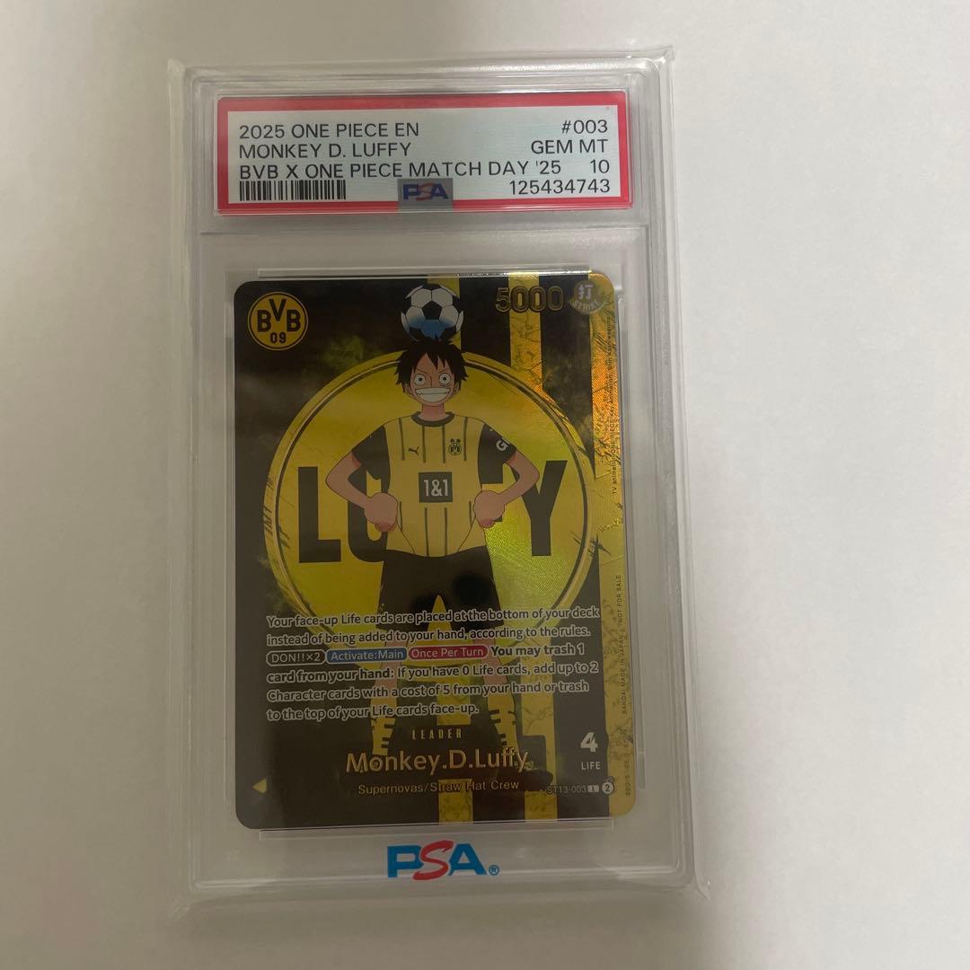 BVB ルフィ ドルトムント ドイツ プロモ 英語 海外