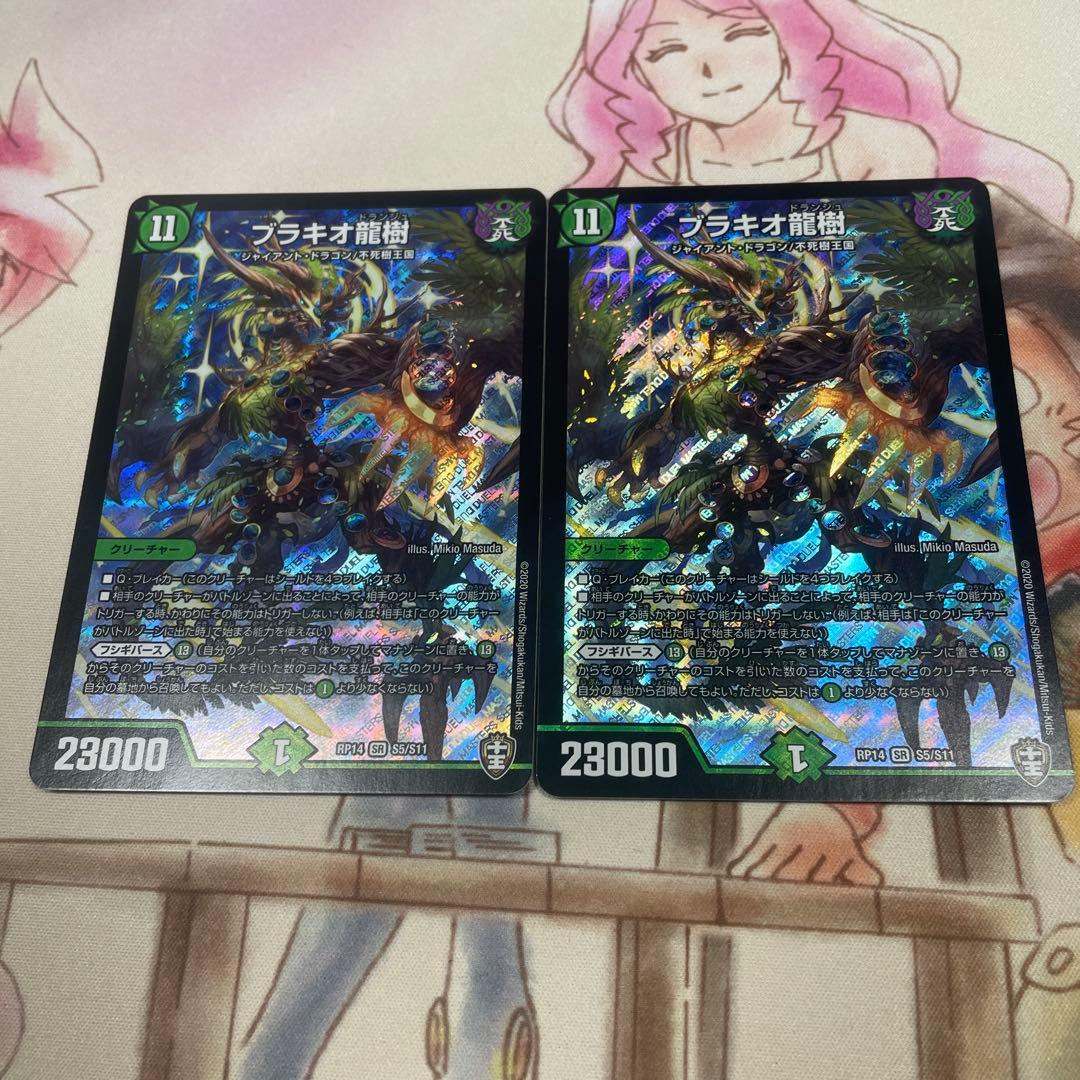 プラキオ龍樹 2枚