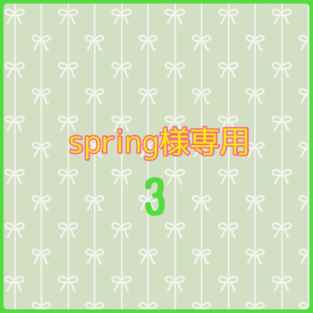 知育玩具 spring3