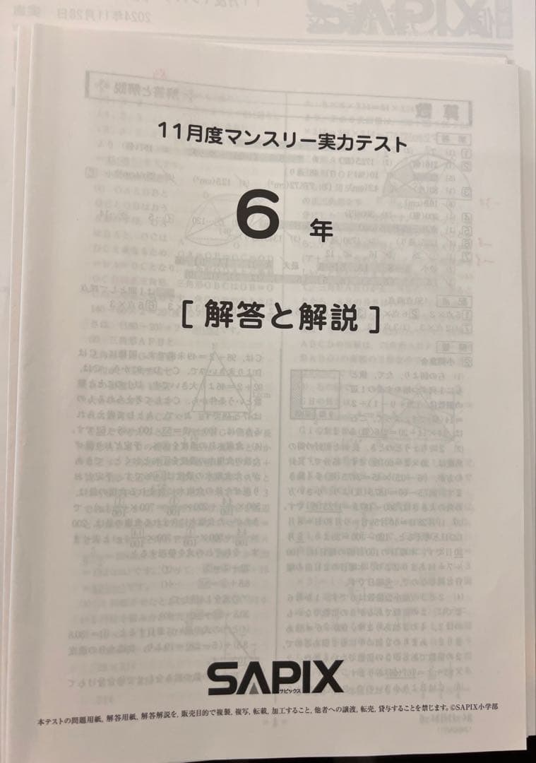 2024年SAPIX 6年生 テスト解答と解説集(全部12回分) - メルカリ