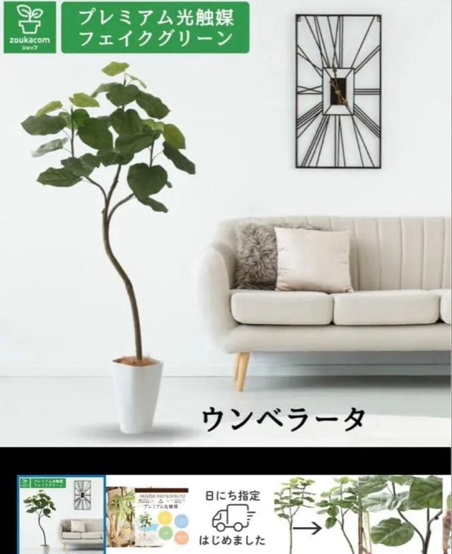 ウンベラータ フェイクグリーン 150cm