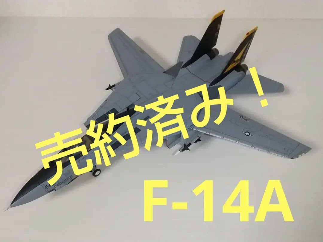 F-14A トムキャット CENTURY WINGS センチュリーウィングス