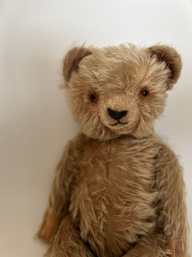 12/29日までチワワです スムースコートチワワ（12/29生まれの女の子：次女ちゃん） – り