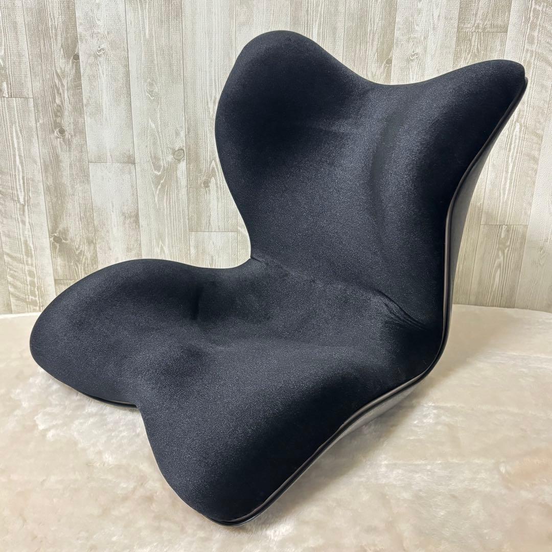 姿勢ケアシート　座椅子　スタイルプレミアムデラックス