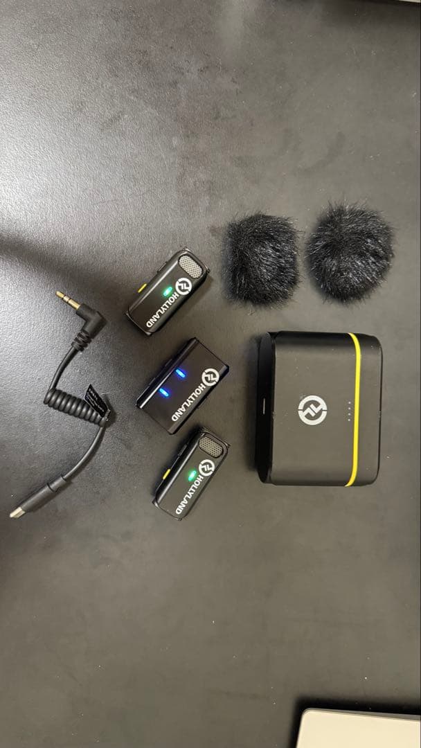 ホーリーランド マイク　タイプC