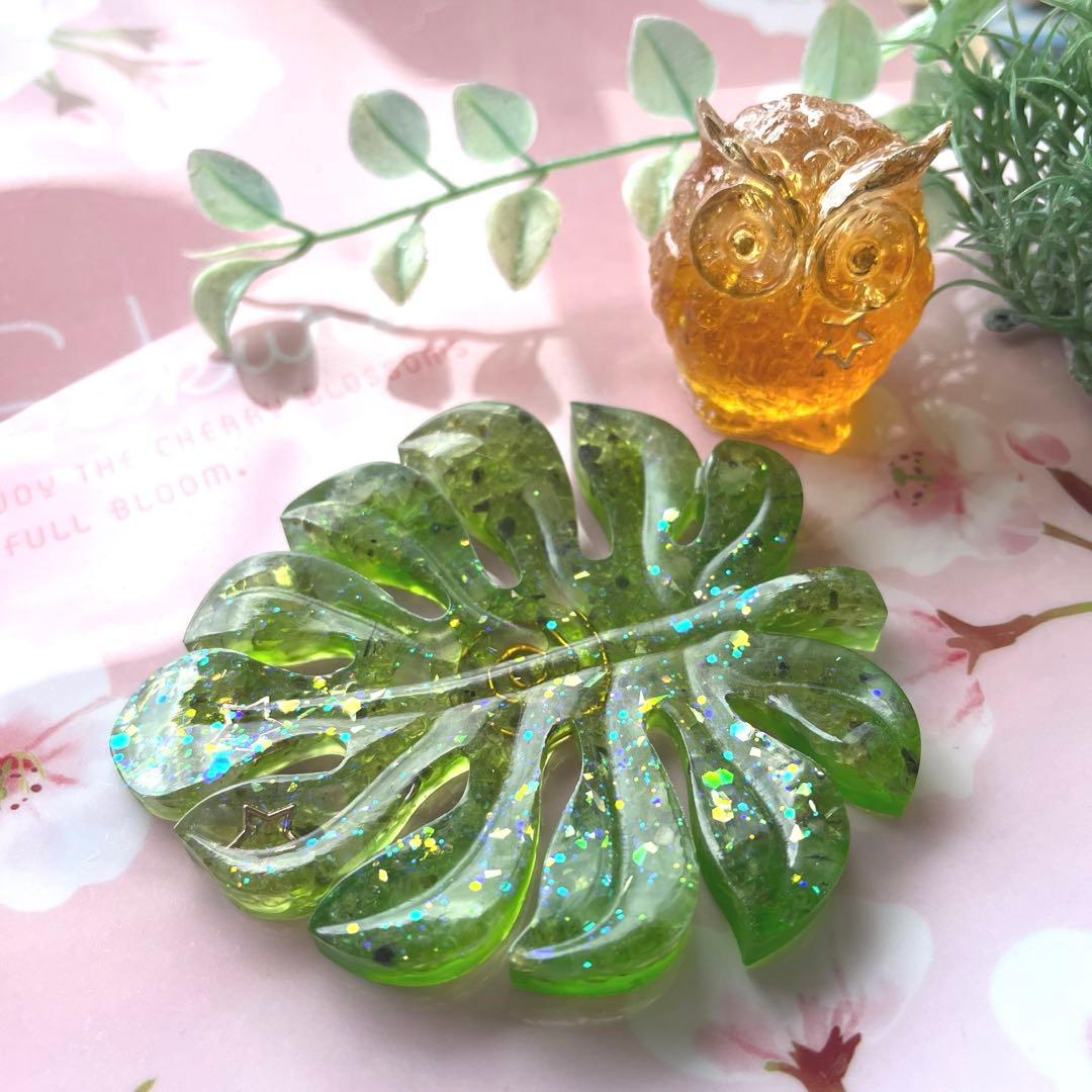 つねりん オルゴナイト　モンステラ型　4点 観葉植物 モンステラ 6号 根あがり アルマ ミドル 付き | 観葉植物なら