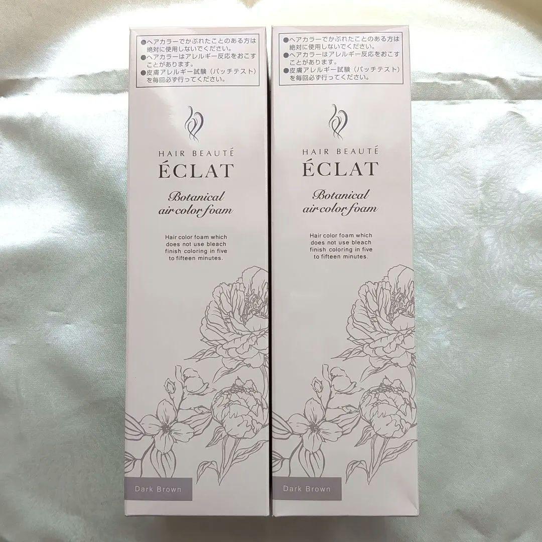 ヘアボーテエクラ　ボタニカル　エアカラーフォームup 150g×2本