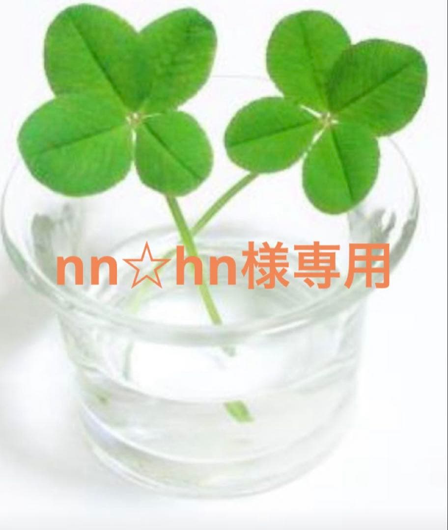 nn☆hn THE NORTH FACE PURPLE LABEL - Indigo Field Track Pants / IB(Indigo