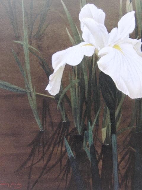河合美江、【白菖】、希少な額装用画集より、新品額装付