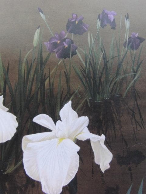 河合美江、【白菖】、希少な額装用画集より、新品額装付