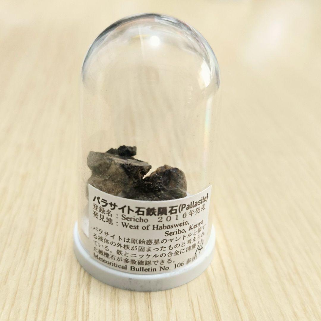 【希少】パラサイト石鉄隕石 (Pallasite) 標本 Sericho