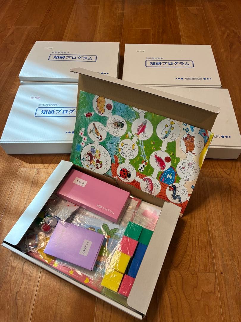 知育プログラム 5箱セット(おまけ付き)