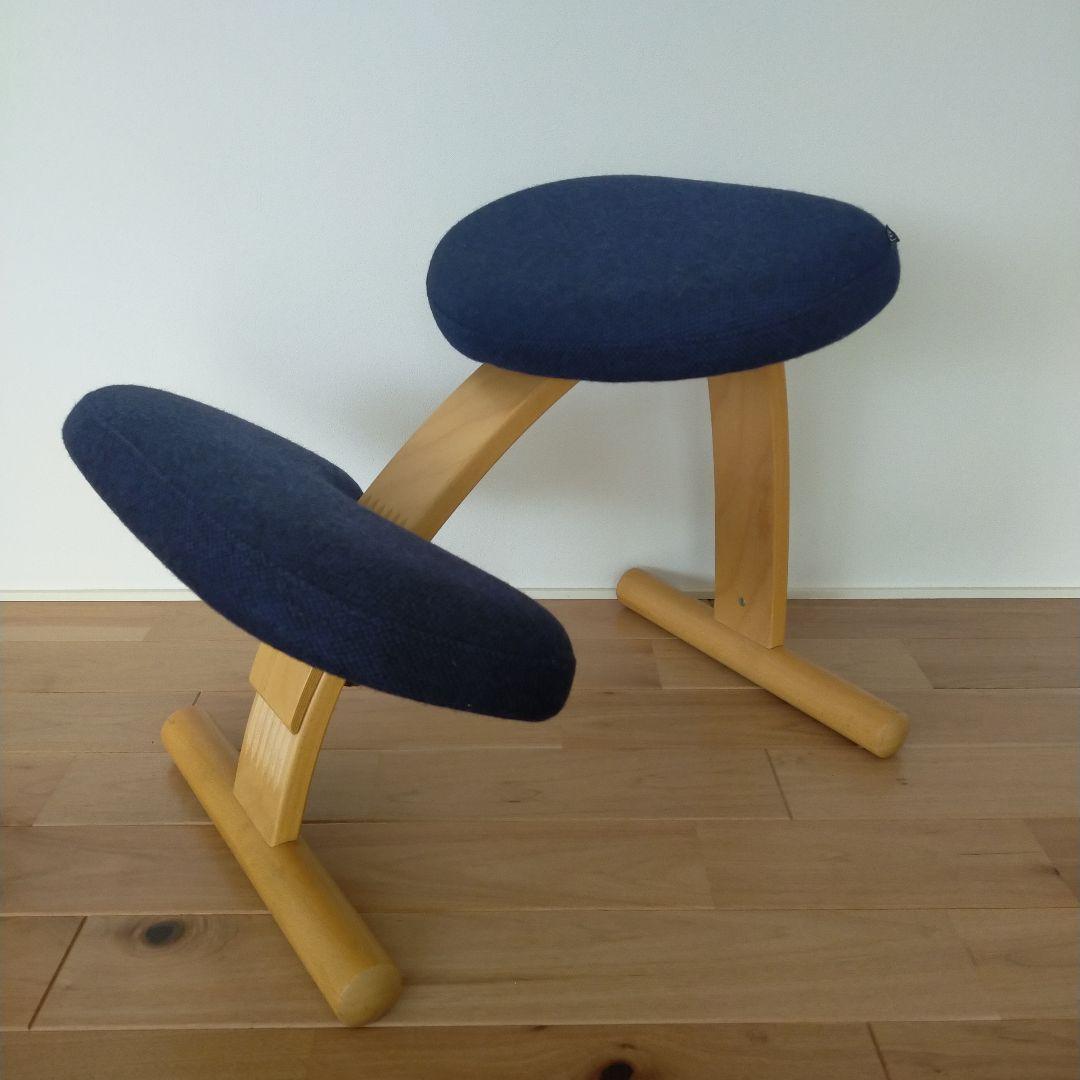 バランスイージー サカモトハウス ネイビー balansEasy バランスラボ