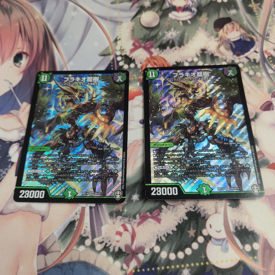 ブラキオ龍樹　2枚セット