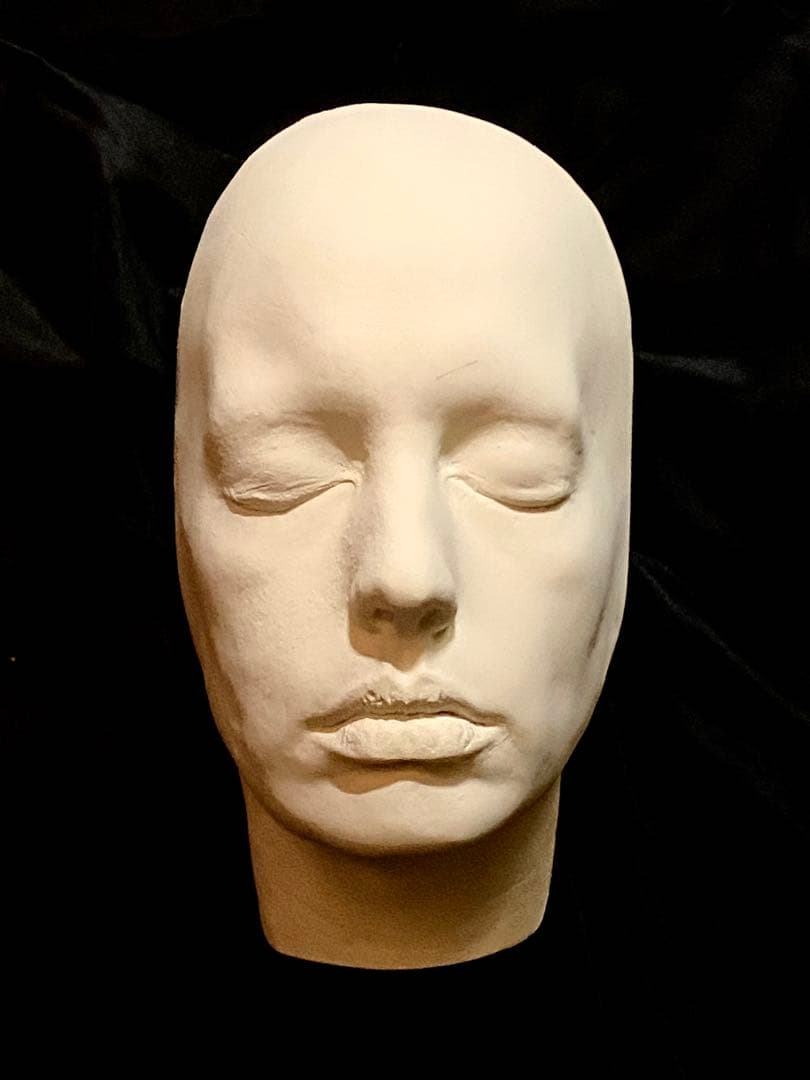 ライフキャスト ライフマスク アンハサウェイ インターステラー インターステラー | ワーナー・ブラザース公式サイト