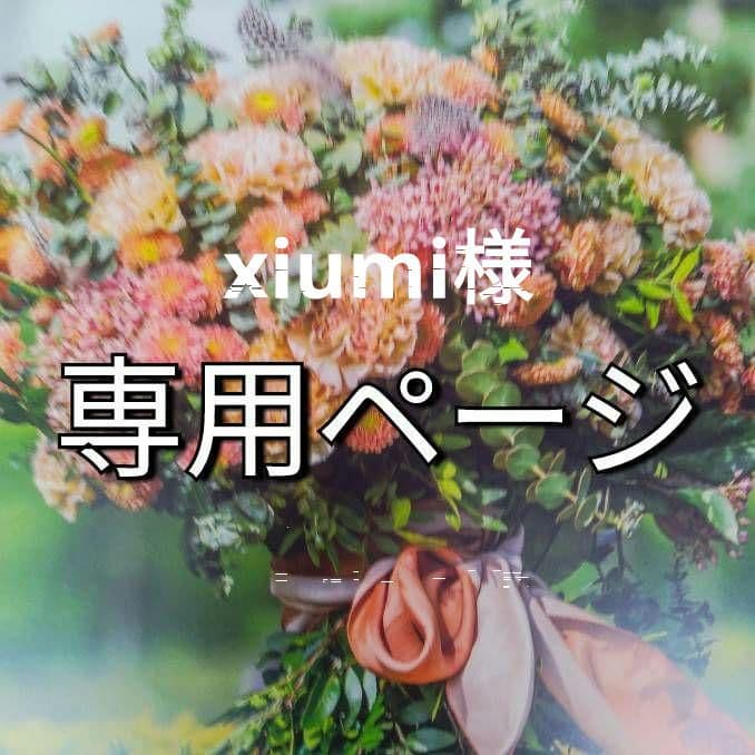 xiumi/4