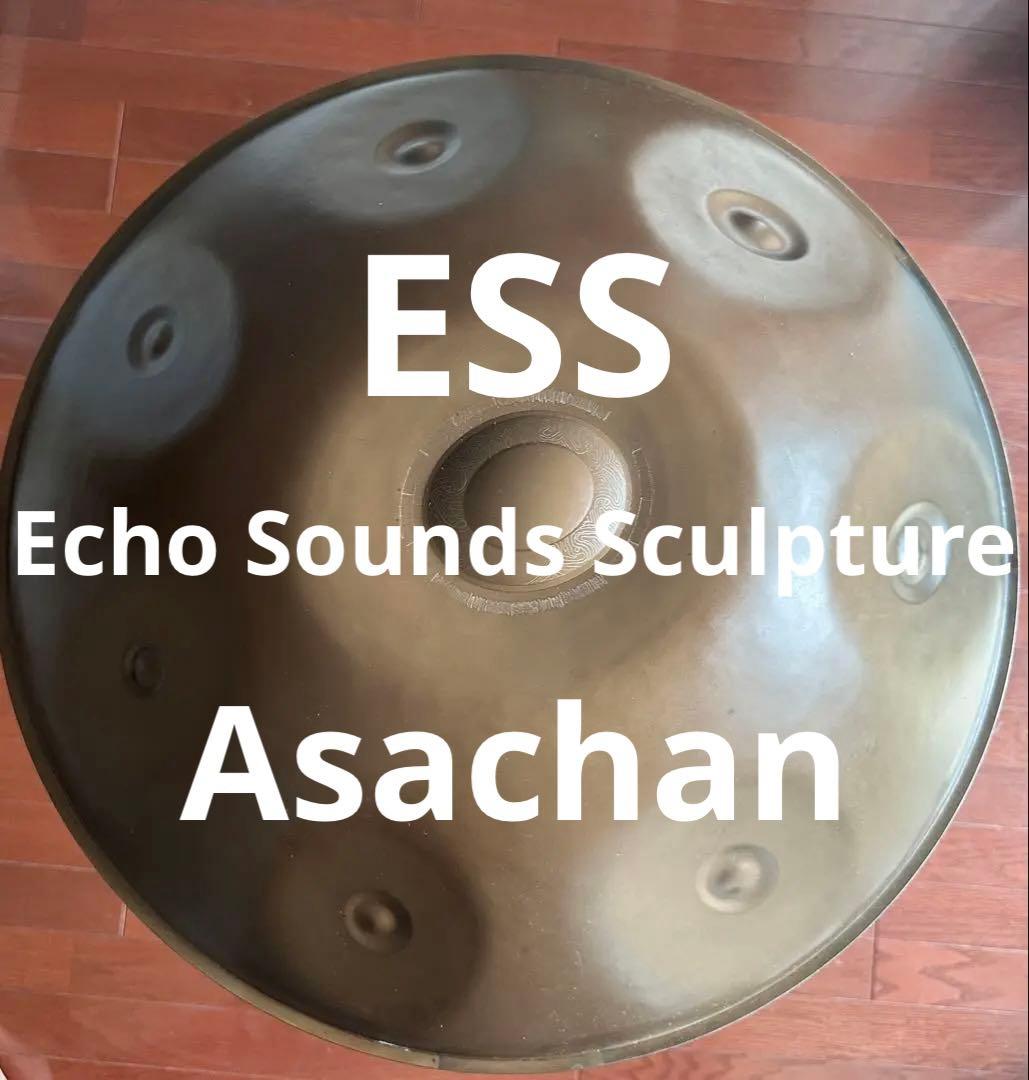 ESS Echo Sound Sculpture AsaChan ハンドパン